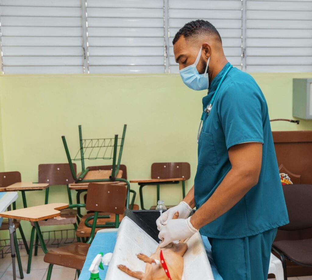 Alcaldía del Distrito Nacional realiza jornada de bienestar para perros y gatos