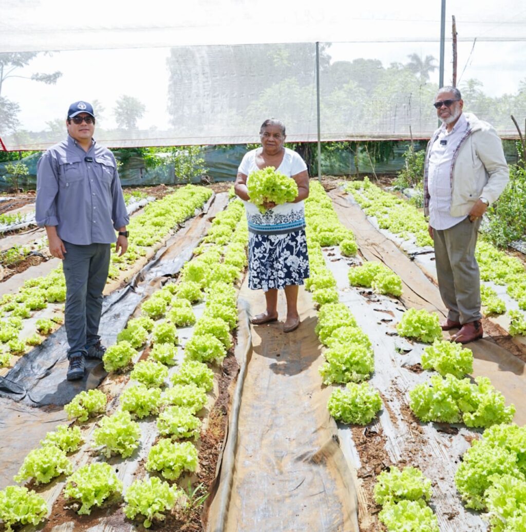 Desarrollo de la Comunidad y FAO buscan relanzar proyectos agroalimentarios