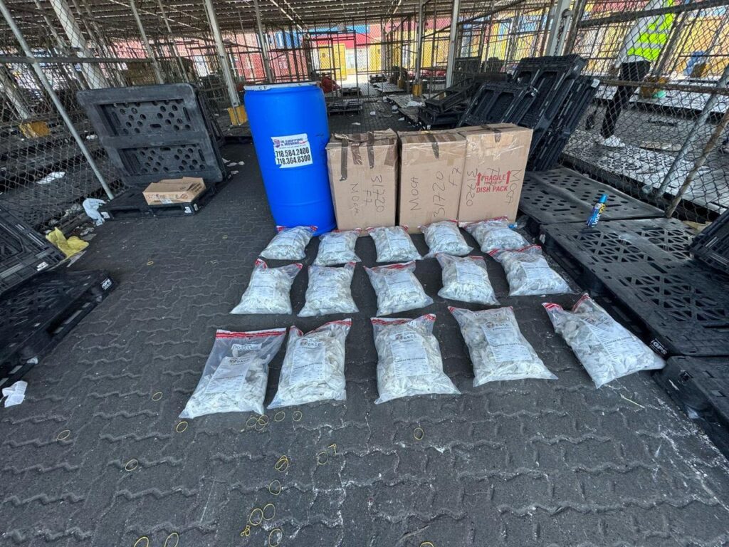 DNCD incauta en pañales más de 700 guantes quirúrgicos llenos de marihuana en el Puerto Haina