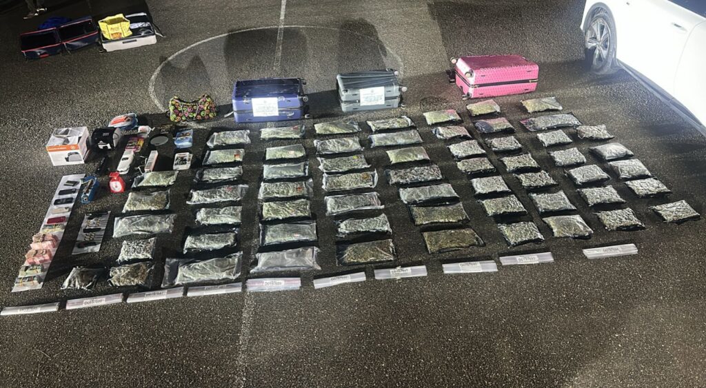 Desarticulan red de microtráfico en santiago ; Ocupan 60 paquetes de marihuana y apresan cinco personas