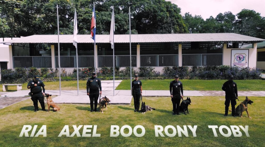 DNCD pone en retiro a cinco perros de la unidad K-9