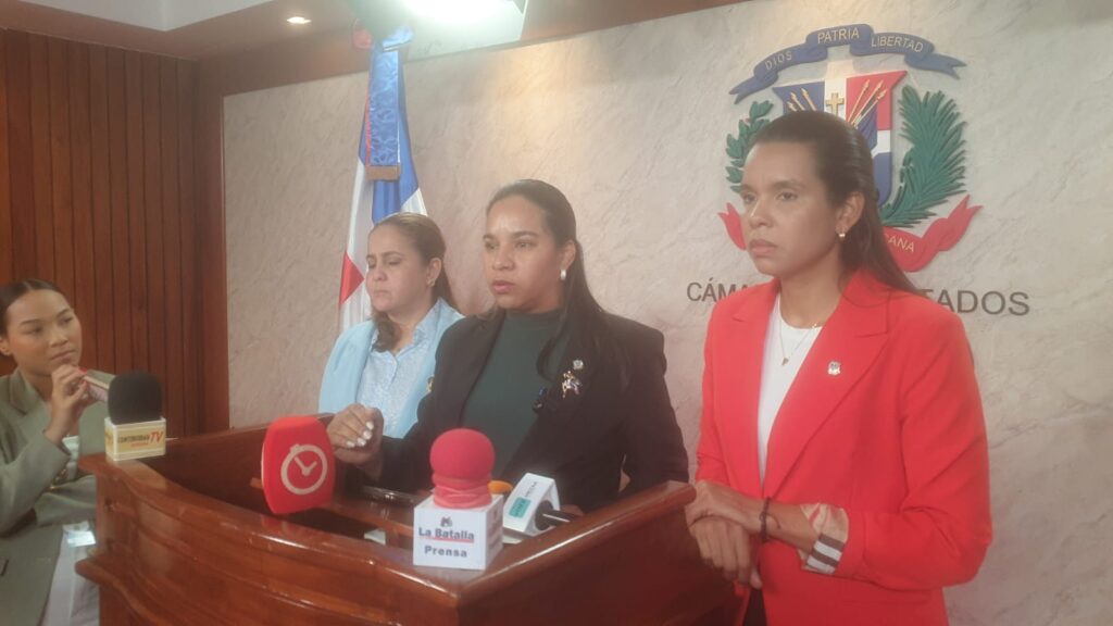 Diputada denuncia retenciones abusiva de motocicletas en santiago sur