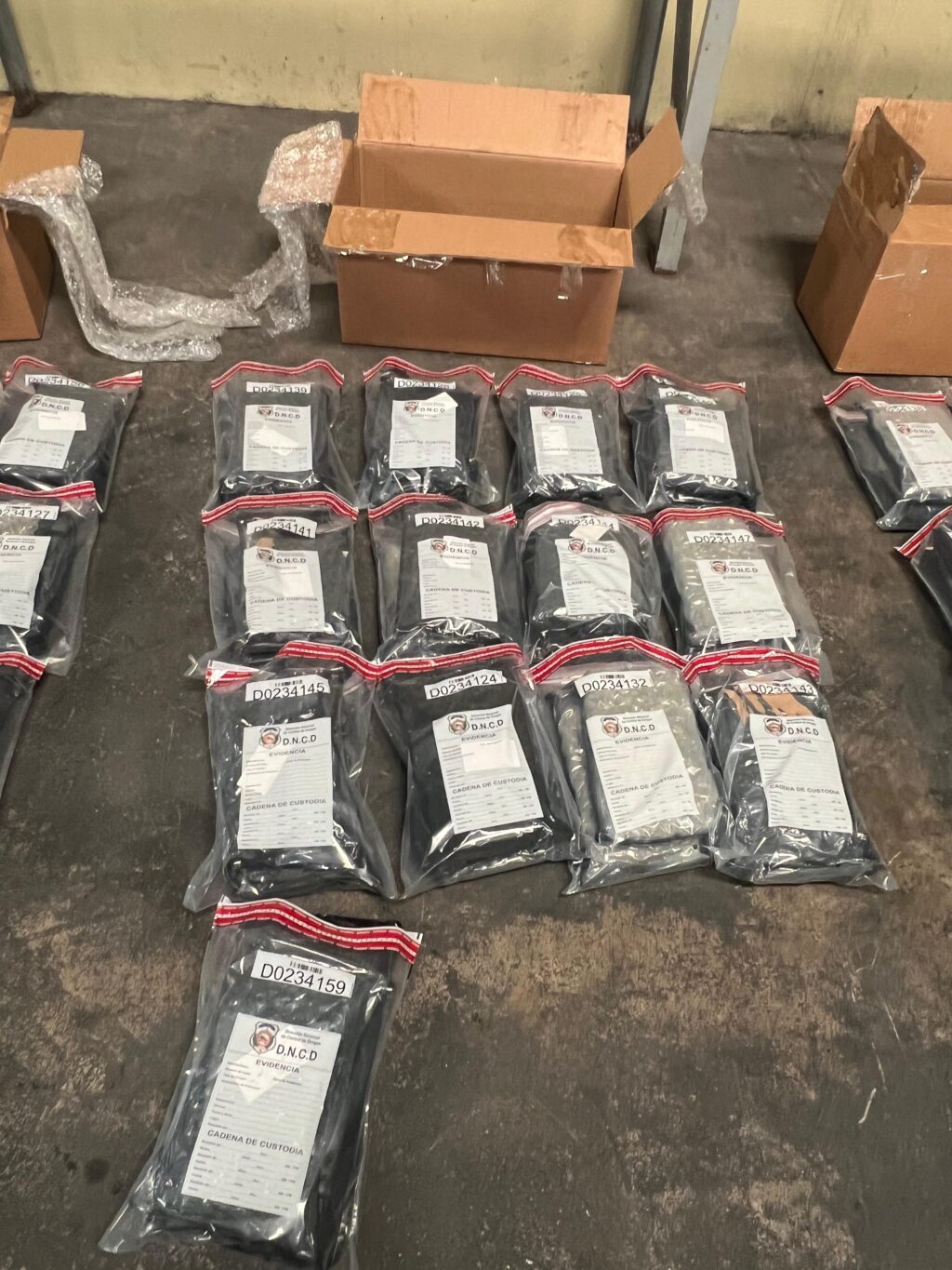 DNCD incauta  98 paquetes de marihuana en el AILA