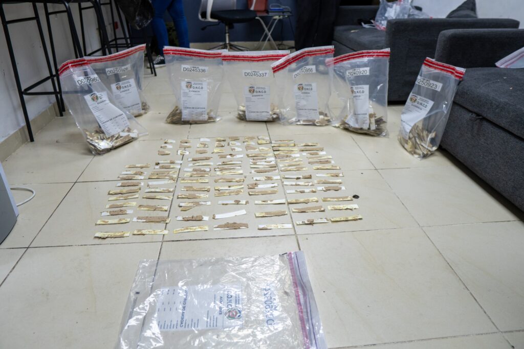 DNCD impide envío a españa de 735 láminas de presunta cocaína camufladas en cajas de cartón