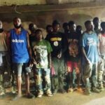 Ejército detiene a 23 haitianos indocumentados que se ocultaban en zona boscosa de Guayubín