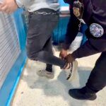 RD entregan otro dominicano a EE.UU. acusado de robo y porte ilegal de armas