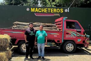 Ejército retiene camión cargado con 125 postes de cambrón ocultos entre pacas de paja sin permiso ambiental en Esperanza Valverde