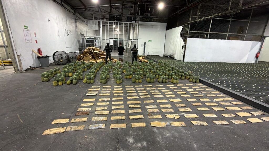 Alijo de láminas de cocaína ocupada en el AILA tuvo un peso de 31 kilogramos