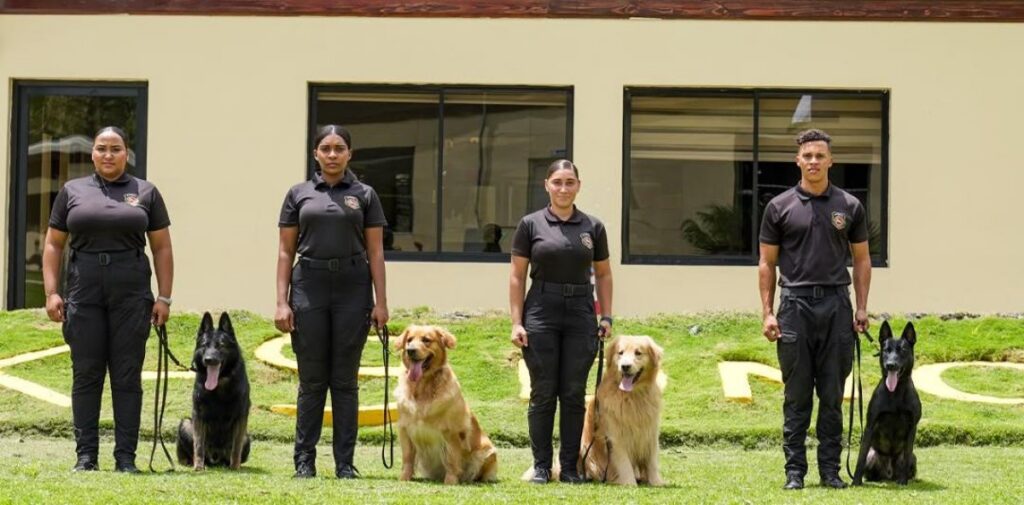 En el Día Mundial del Perro la DNCD destaca su ardua labor en la lucha contra el narcotráfico y sus delitos conexos