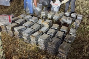 DNCD incauta 237 paquetes de presunta cocaína y arrestas tres hombres durante persecución en Santo Domingo