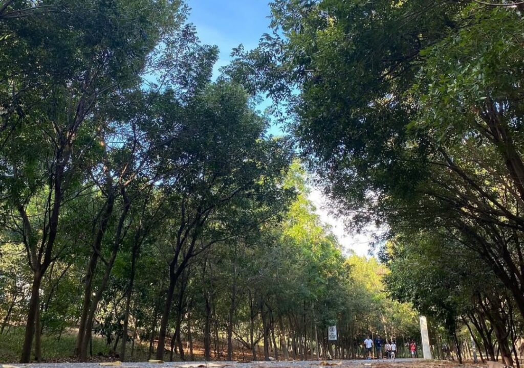 Miderec reabre Parque del Este y el Centro Olímpico JPD tras los juegos