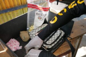Apresan 11 personas y confiscan más de 3,775 gramos de distintas drogas en Boca Chica