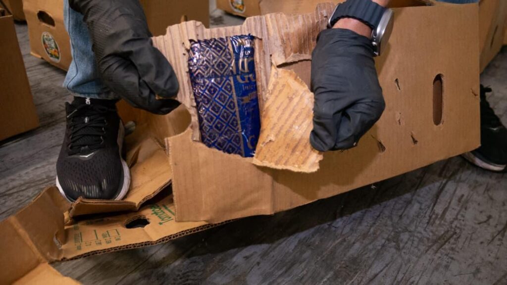 DNCD ocupa 172 láminas de presunta cocaína camufladas en cajas de cartón en puerto caucedo